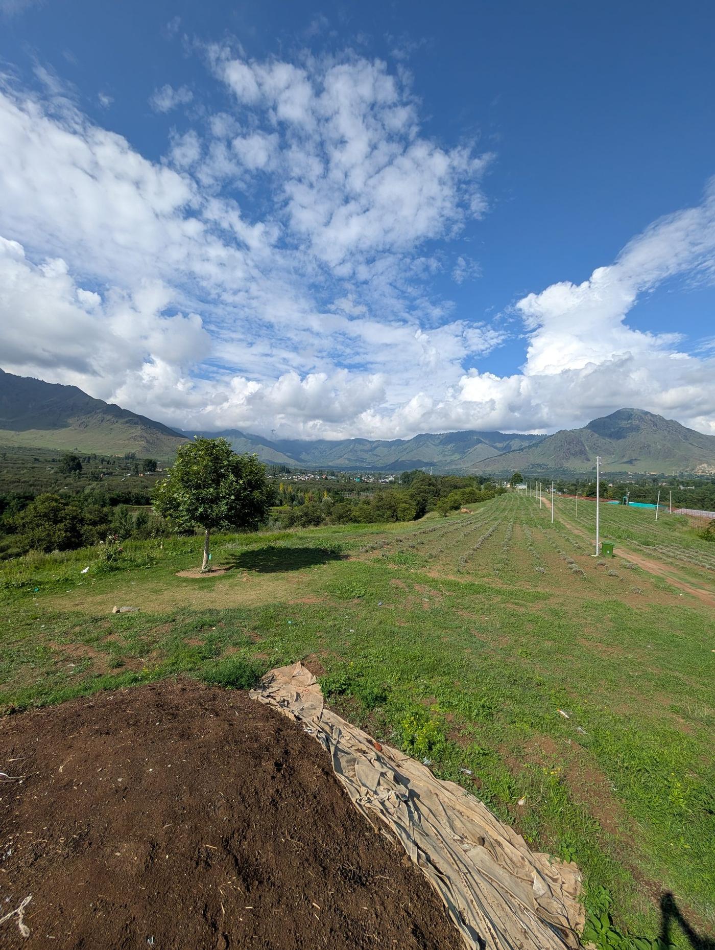 Cultivated valley land